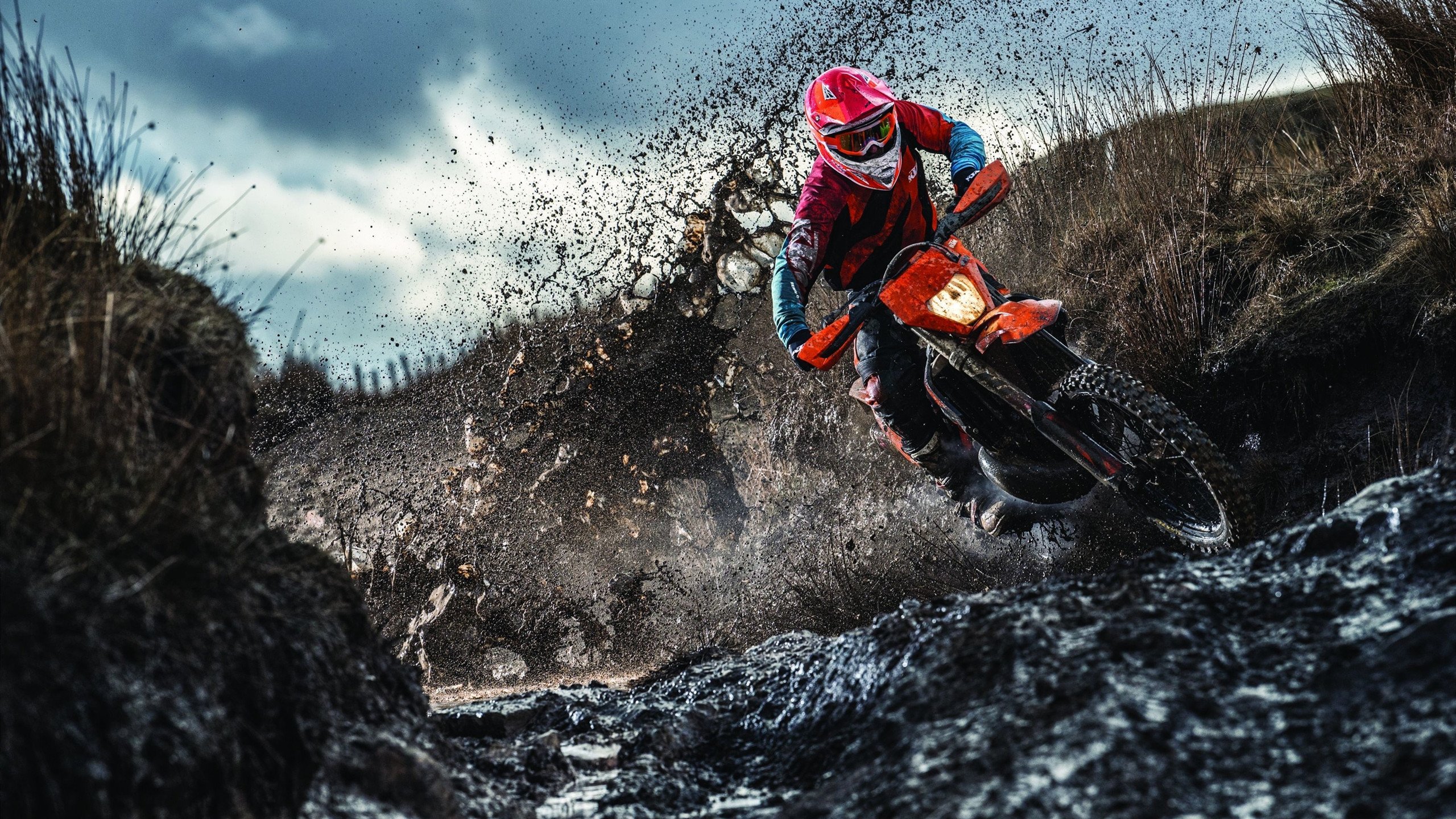 世界轮椅篮球锦标赛 冠军队凭严密防守笑到最后