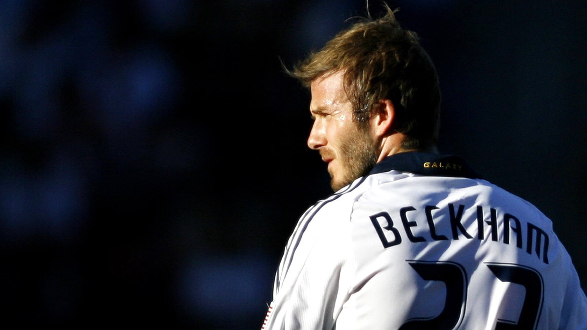 体育培训行业增长